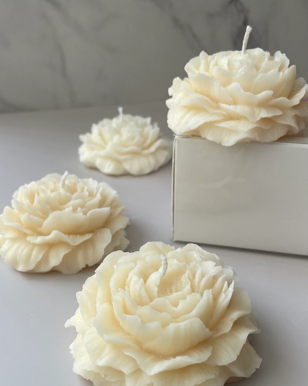 Peony Wild Candle (Medium)