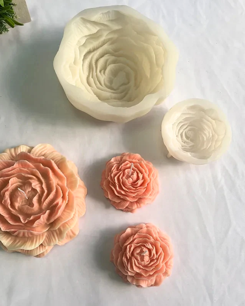 Peony Wild Candle (Small)