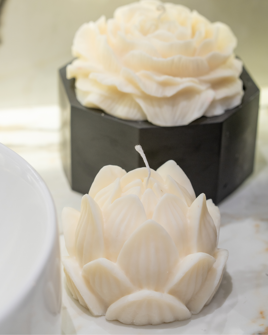 Lotus Luminance