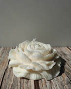 Peony Wild Candle (Big)