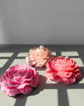 Peony Wild Candle (Medium)