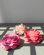 Peony Wild Candle (Medium)